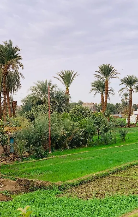The Residence Luxor Villa